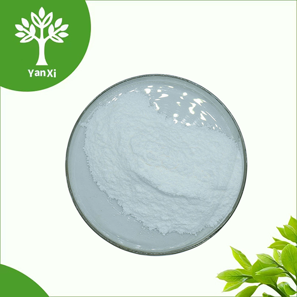 Xylitol Powder Xylitol Powder